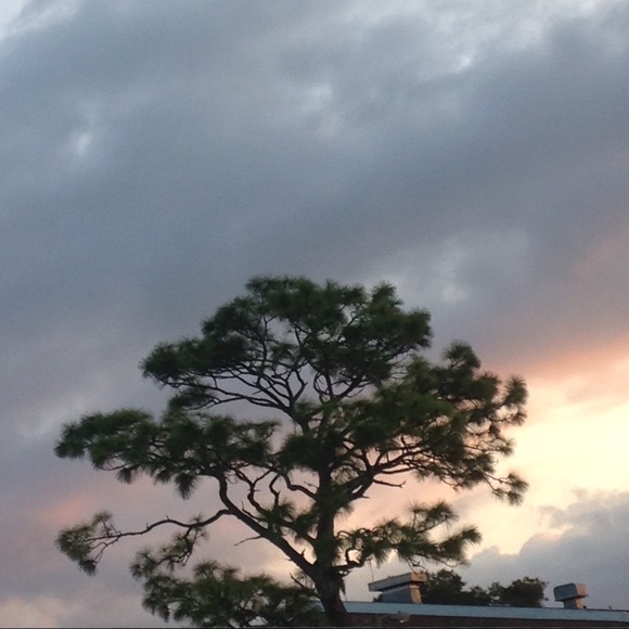 Profile Picture of Tiffany Manbeck (@tiffany_2017_) on Poshmark