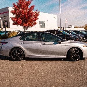 Profile Picture of Isabelle Roza (@RozaIsabelle) on Twitter