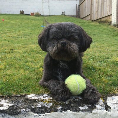 James Squibb - Twitter Profile Picture of James Squibb (@james_squibb) on Twitter