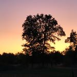 Profile Picture of Zachary Crane (@zaccrane1298) on Instagram