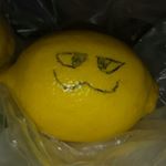 Profile Picture of Joshua Candelaria (@smug_lemon) on Instagram