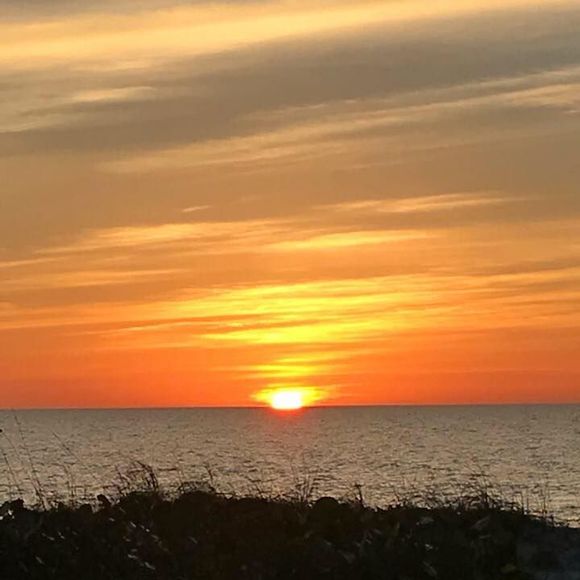 Profile Picture of Pamela Hyland hogg (@pjhogg1) on Poshmark