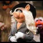 Sasha Hagigal - Instagram Profile Picture of Sasha Hagigal (@sashfleiss) on Instagram