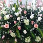 Profile Picture of aminta pinto (@pintoaminta) on Instagram