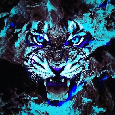 Profile Picture of Alex Aldarondo (@Mini_Caddy) on Twitter