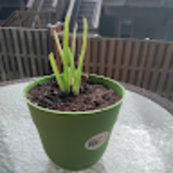 Profile Picture of Zeynub Shaikh (@zeynubshaikh) on Poshmark