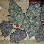 Profile Picture of Brad Potvin (@sudburys_finest) on Instagram