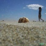 Profile Picture of Marlène Ripault (@marlene8131) on Instagram