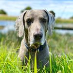 Profile Picture of Donna Evans (@longway.life) on Instagram