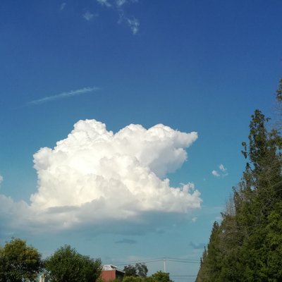 Profile Picture of George Cheng (@LordGeorgeCheng) on Twitter