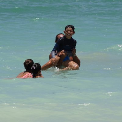 Profile Picture of Jose Alejandro Raya (@JoseAle56095751) on Twitter