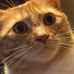 Profile Picture of Nathan Bruner (@nathan.bruner.5011) on Facebook