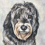 Profile Picture of Suzanne Holland (@velvetstarrpetportraits) on Instagram