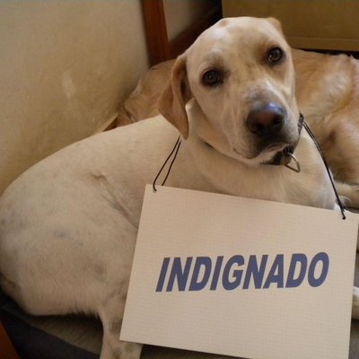 Carlos Pons - Twitter Profile Picture of Carlos Pons (@carlospons80) on Twitter