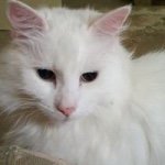 Profile Picture of Ruth Newcombe (@ruth.newcombe378) on Instagram