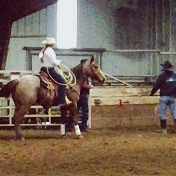 Allison Lungren - Poshmark Profile Picture of Allison Lungren (@a_lungren) on Poshmark