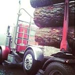 Profile Picture of jason kennedy (@jasonkennedy892) on Instagram