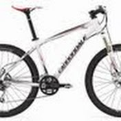 Profile Picture of Ivan Lui (@ivanlui8373) on Youtube