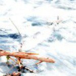 Profile Picture of Robert Nottellin (@bigabike) on Instagram