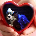 Profile Picture of Justin Bastedo (@justin.bastedo) on Instagram