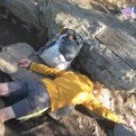 Profile Picture of Eric Andersen (@easprts26) on Instagram