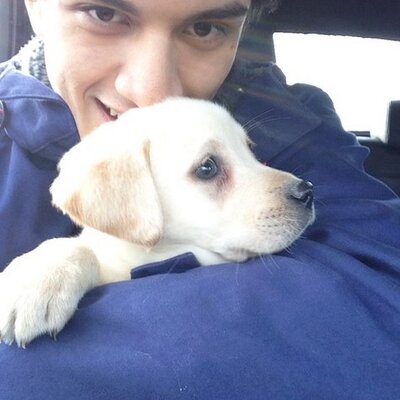 Profile Picture of Alfredo Miceli (@alfredomariad) on Twitter