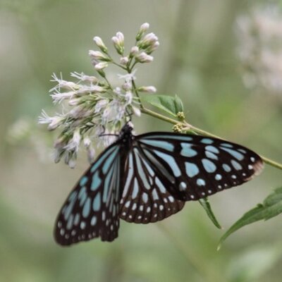 Profile Picture of Wayne Tang (@waynetang14) on Twitter