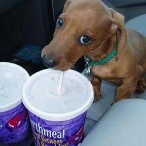 Profile Picture of Joe Bwoen (@JoeLaurich) on Twitter