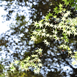 Profile Picture of Brian Chen (@%u7169%u5FC3%u7684Brian) on Flickr