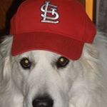 Profile Picture of Roxanne Tisheuar Shea (@roxanne.t.shea) on Instagram