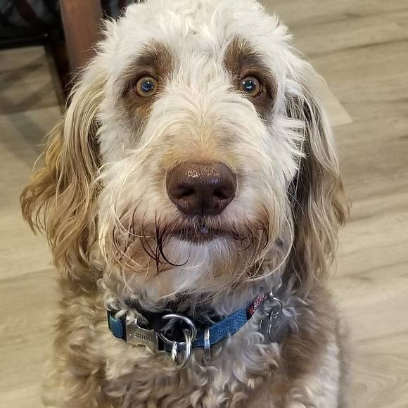 Profile Picture of Monte mary Pierce (@monte1960) on Poshmark