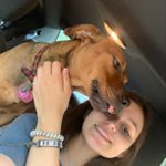 Profile Picture of Lisa Marie Holcomb (@lisa.holcomb_2002) on Instagram