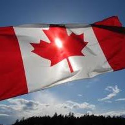 Profile Picture of Steven Meadows (@meadowssteven) on Twitter