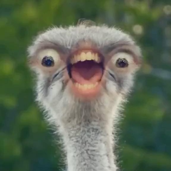 Steve Depoty - Poshmark Profile Picture of Steve Depoty (@sdepo2013) on Poshmark