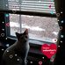 Profile Picture of Audrey Mulkey (@audrey.mulkey.14) on Facebook