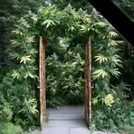 Gas Jatu - Facebook Profile Picture of Gas Jatu (@Gas-Jatu) on Facebook