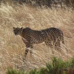 Profile Picture of Phillip Smith (@the filosopher) on Flickr