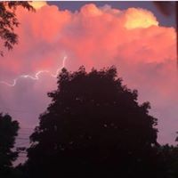 Profile Picture of Shelly Thornton (@shelly-thornton-1) on Quora
