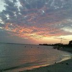 Profile Picture of William Walcott (@williamwalcott) on Instagram