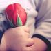 Profile Picture of Dolson Paul (@dolson.paul.16) on Facebook