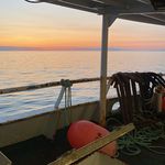 Profile Picture of joseph leon (@joe_mosher) on Instagram