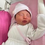 Profile Picture of Evelyn Ernestine Setiawan (@evelynernestine_307) on Instagram