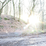 Profile Picture of Daniel Grundy (@grundy.daniel) on Flickr