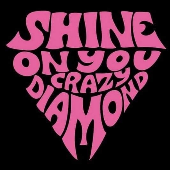 Profile Picture of Lori Saloom (@salo6448) on Poshmark