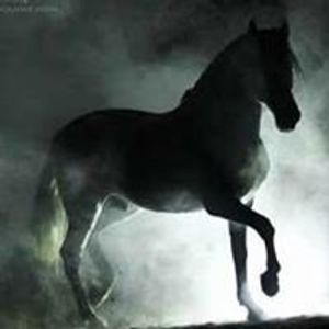 Profile Picture of Heidi Meek (@heidi.meek.9) on Myspace