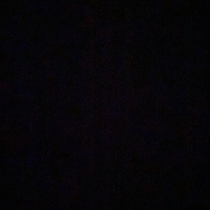 Profile Picture of Andrew Bert (@andrew.bert) on Tiktok