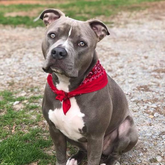 Profile Picture of Lola Kosier (@lolakosier) on Poshmark