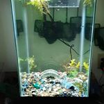 Profile Picture of George Cotroneo (@george.cotroneo.965) on Instagram