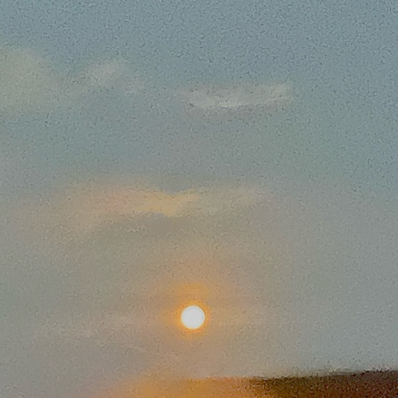 Profile Picture of Joey Zarbaugh (@joeyzarbaugh) on Poshmark