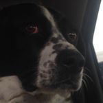 Profile Picture of James M. Prato (@jamesprato) on Instagram